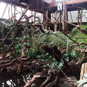 Tropical House at Twycross, 18/05/13