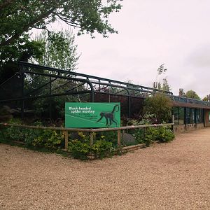 Spider Monkey Enclosure at Twycross, 18/05/13