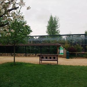 Spider Monkey Enclosure at Twycross, 18/05/13