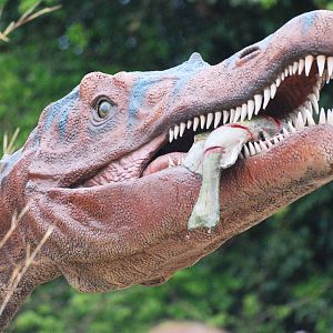 Dinosaur Valley at Twycross, 18/05/13