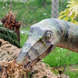 Dinosaur Valley at Twycross, 18/05/13