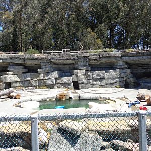 Polar Bear Grotto #1 (2013)