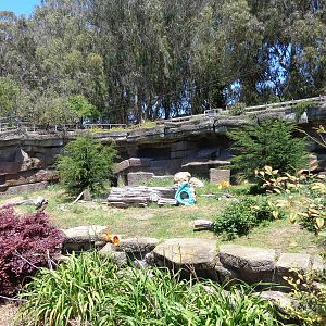 Polar Bear Grotto #2 (2013)