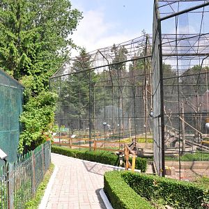 Monkeys enclosures