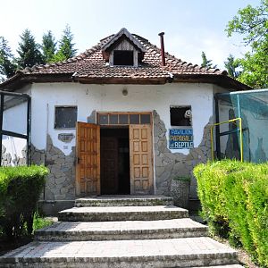 Reptile and Bird House