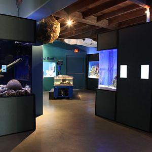 new aquarium building