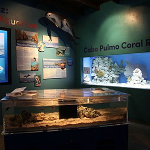 new aquarium building