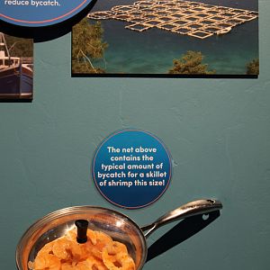 new aquarium building