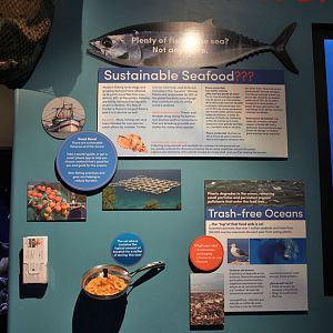 new aquarium building