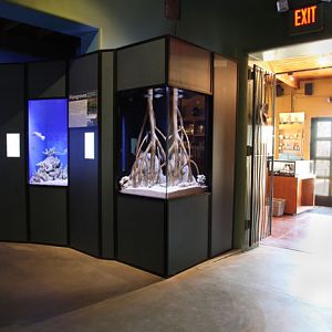 new aquarium building