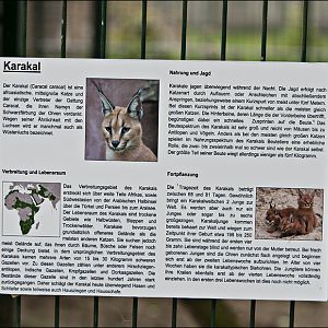 Caracal sign at Thüle