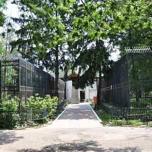 Lion and tiger enclosures