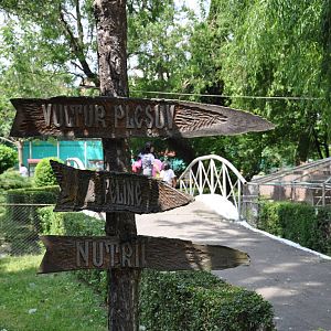 Directions in the zoo