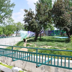 Brown bear enclosure