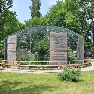 Yellow-legged gull enclosure