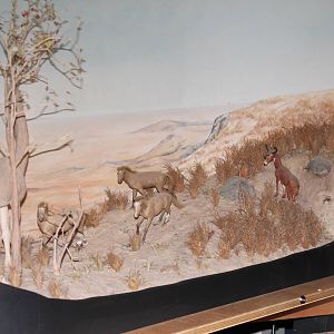 miniature diorama of extinct American mammals