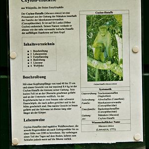 Wikipedia sign at Thüle