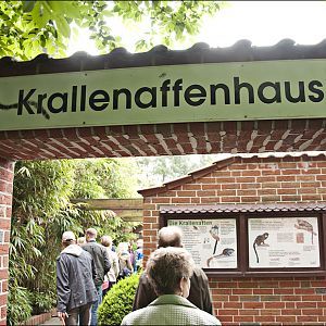 Marmoset-area at Thüle