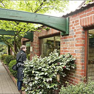 Marmoset-area at Thüle