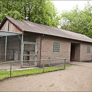 Bear and tiger house at Thüle