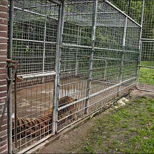 Tiger cage at Thüle