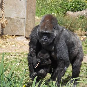 Salome and Kukena 18/5/13