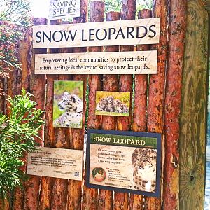 May. 2013 - Cat Canyon - Snow Leopard Signs