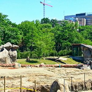 May. 2013 - Africa - Future African Lion Exhibit