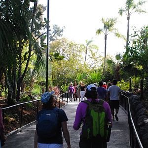 Australian Outback - New Walkway to Exhibit