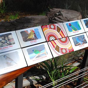 Australian Outback- First Aviary Signage