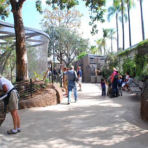 Australian Outback- Walkway
