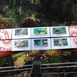 Australian Outback- First Aviary Signage 2