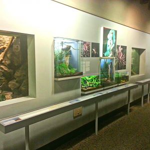 May 2013 - World of the Insect - What Eats Insects