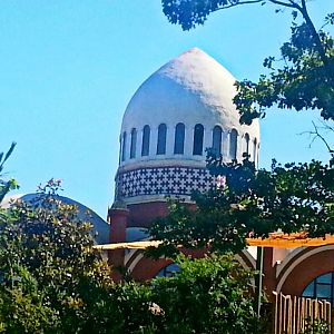 May 2013 - Elephant House