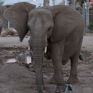 Summer Friday Nights