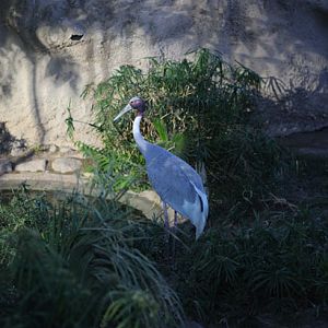 Summer Friday Nights