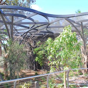 Australian Outback- Third aviary