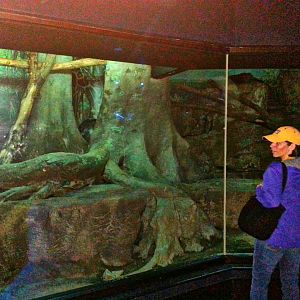 May 2013 - Night Hunters - Bearcat Exhibit