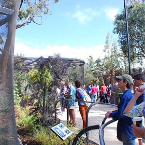 Australian Outback- Walkway