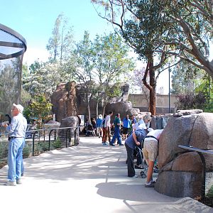 Australian Outback- Walkway