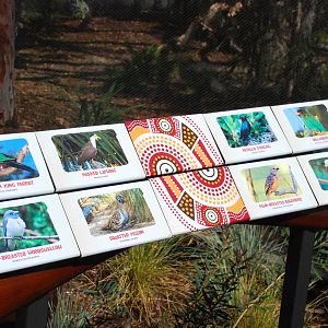 Australian Outback- Second Aviary Signage