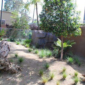 Australian Outback- Southern hairy-nosed wombat exhibit
