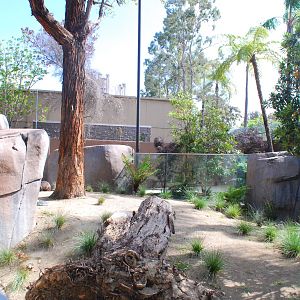 Australian Outback- Southern hairy-nosed wombat exhibit
