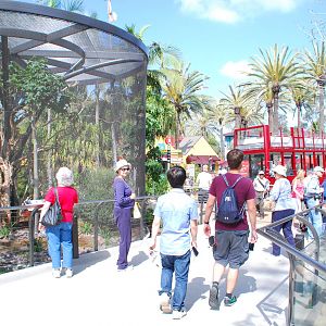 Australian Outback- Third Aviary and Parma wallaby enclosure