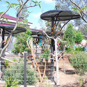 Australian Outback- Koala exhibits