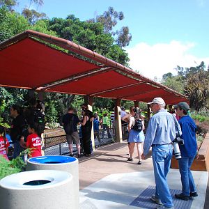 Australian Outback- Old wallaby canopy