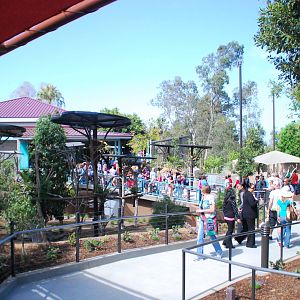 Australian Outback- Koala exhibits and Queenslander