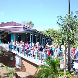 Australian Outback- Veranda