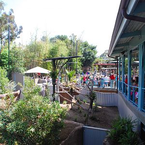 Australian Outback- Queenslander