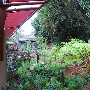 Australian Outback-Plantings to Queenalander